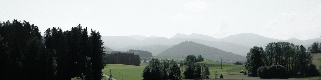 Blog post Project Horizon // Lukas Rathgeber