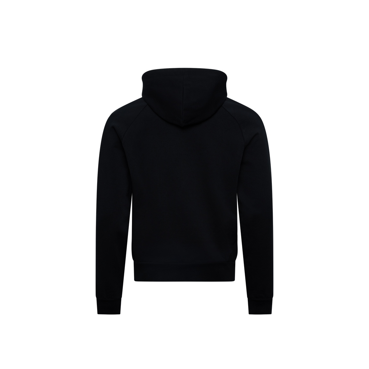 Rhythm Hooded Sweater Men "Solid"