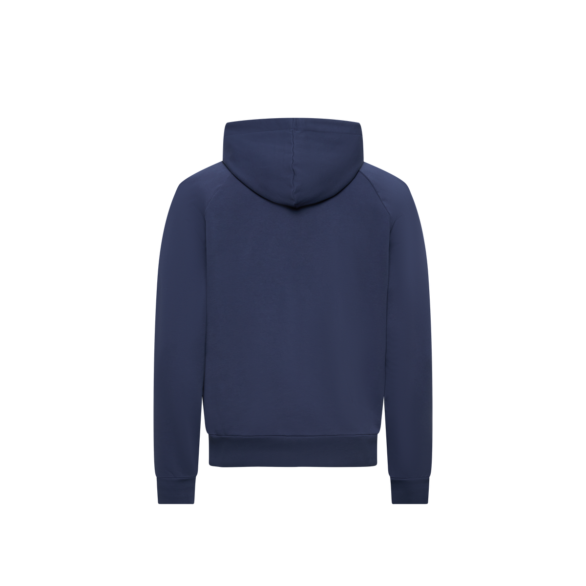 Rhythm Hooded Sweater Men "Icon"